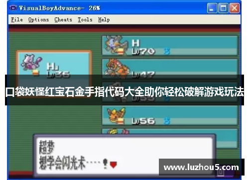 口袋妖怪红宝石金手指代码大全助你轻松破解游戏玩法